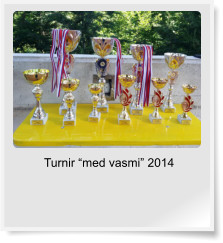 Turnir �med vasmi� 2014